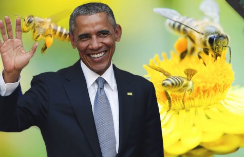 Obama_Bee